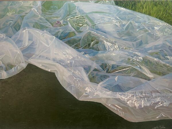 23. SHUTA RUELAS SHUTA RUELAS / "ENVUELVE LA NATURALEZA"